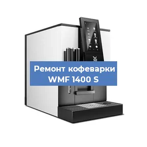 Чистка кофемашины WMF 1400 S от накипи в Челябинске
